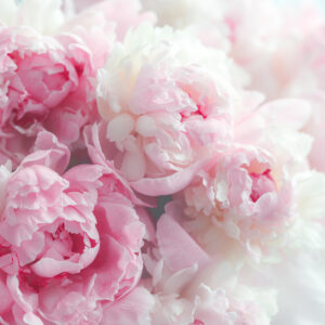 Zeit für eine Blumen-Offensive