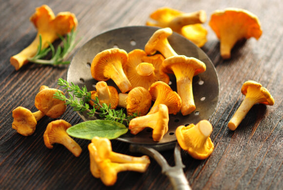 Genießen Sie die Früchte des Waldes