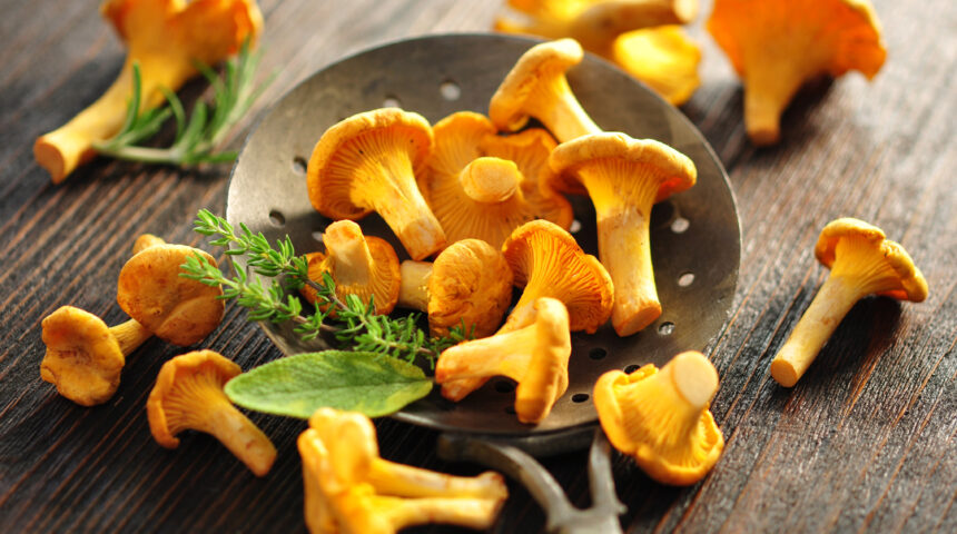 Genießen Sie die Früchte des Waldes