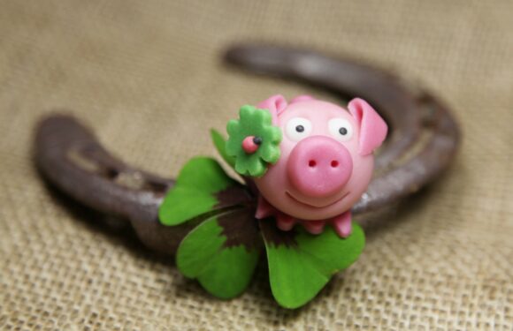 Auf ein rundum erfreuliches Jahr 2026! Auf ein rundum erfreuliches Jahr 2026!