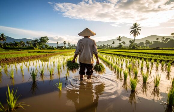 Der Genuss der großen weiten Welt