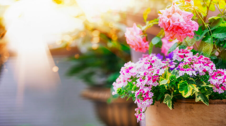Lassen Sie den Frühling erblühen Lassen Sie den Frühling erblühen