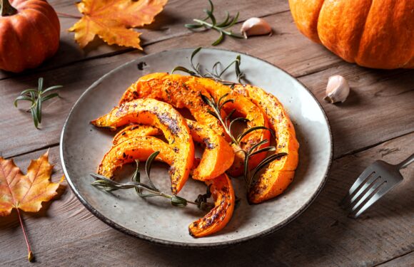 Herbstküche beginnt mit guten Zutaten Herbstküche beginnt mit guten Zutaten